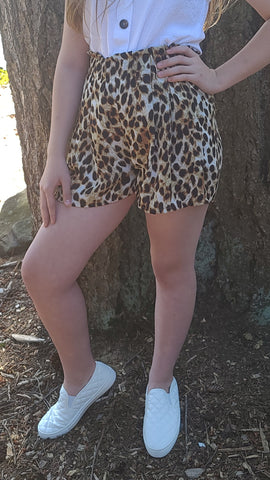 Cool Cat Leopard Shorts